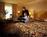 Texas Station Hotel Casino::ProfessionalTravelGuide.com