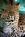 The Conservator's Center::Conservator's Center