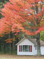 Maple Grove Cottages