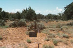 Tn-1998_200_20forward_t