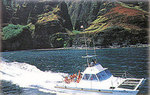 Catamaran Kahanu