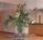 Holiday Inn Hotel Suites Daytona::Orbitz