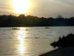 Tn-townlakeeast1