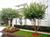 Homestead ATL-Cumberland::Expedia