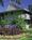 Best Western Plantation Hale Suites::Hotels.com