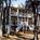 Daufuskie Island Club::Priceline.com