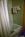 San Diego Marriott Del Mar::ZoomAndGo