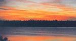 Tn-n12597_other_01_f