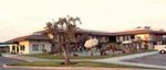 Super 8 Motel - Lindsay Olive Tree Inn