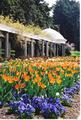 Maymont
