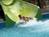 Best Western Pzazz Fun City::Orbitz