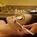 Griffin Gate Marriott Resort - J W's Steakhouse Restaurant::Orbitz