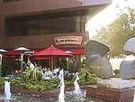 Roppongi Restaurant, Bar and Cafe::Yahoo! Travel