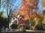 Brook Farm Inn::BedAndBreakfast.com