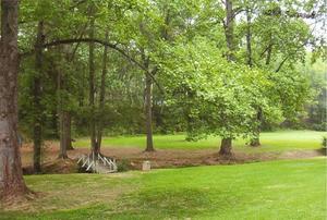 Web-10420