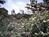 Atlanta Botanical Gardens from Yahoo! Travel