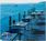 The Edgewater::Priceline.com