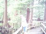 Reelfoot Lake Inn