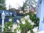 White Lilac Inn