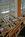 Marriott Philadelphia Downtown::ZoomAndGo