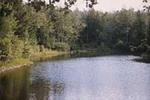 DAR State Forest