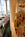 Marriott Philadelphia Downtown::ZoomAndGo