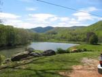 ANDY'S TROUT FARM