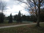 Blueberry Hill Park