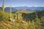 Rancho de los Caballeros from Priceline.com