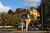 Meridian Palms Hotel And Suites Orlando Maingate::Expedia