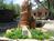 Canyon Ranch::TripAdvisor