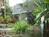 Rainbow Plantation Bed and Breakfast::BedAndBreakfast.com