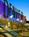 Hyatt Regency Denver at Colorado Convention Center from Hotels.com