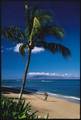 Outrigger Royal Kahana Resort