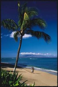 Outrigger Royal Kahana Resort::Travelocity.com