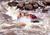 Residence Inn by Marriott Santa Fe::Orbitz