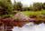 Berry Hill Gardens Bed and Breakfast::BedAndBreakfast.com