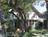 Ruckman Haus::BedAndBreakfast.com
