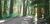 Eagle Campground from Campingguidenevada.com