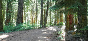 Web-upperrushcreek-picture