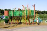 Triassic Playground