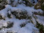 Elk Ridge Bed & Breakfast