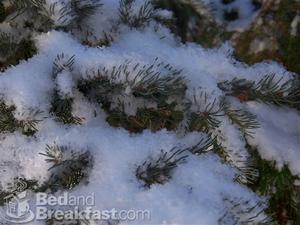 Elk Ridge Bed & Breakfast::BedAndBreakfast.com