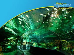 Ripley's Aquarium of the Smokies::Ripleysaquariumofthesmokies.com