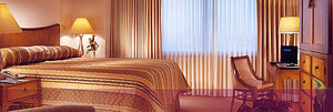Web-top_img_accm