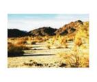 Cleghorn Lakes Wilderness::Epinions.com