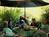 Ocean Breeze Hideaway::BedAndBreakfast.com