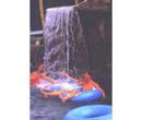 Noah's Ark Water Park