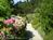 Whale Watch Inn::BedAndBreakfast.com
