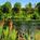 Riverside Inn Resort::Expedia